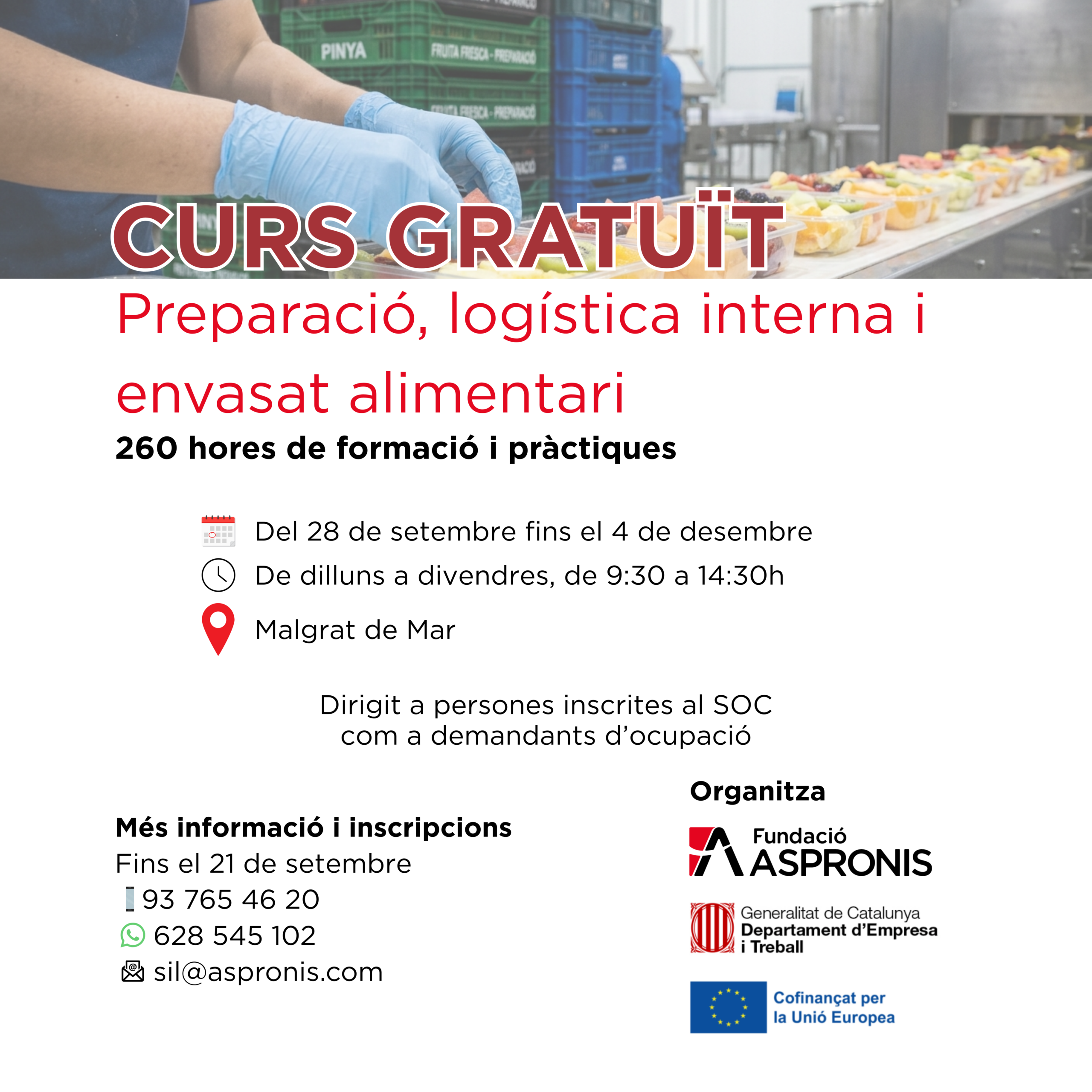 Curs de preparació, logística interna i envasat alimentari